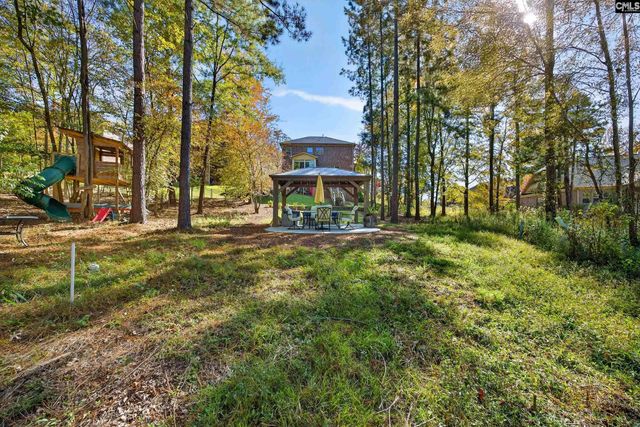 349 Bent Oak Drive, Chapin, SC 29036
