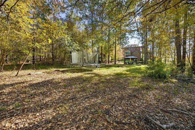 349 Bent Oak Drive, Chapin, SC 29036