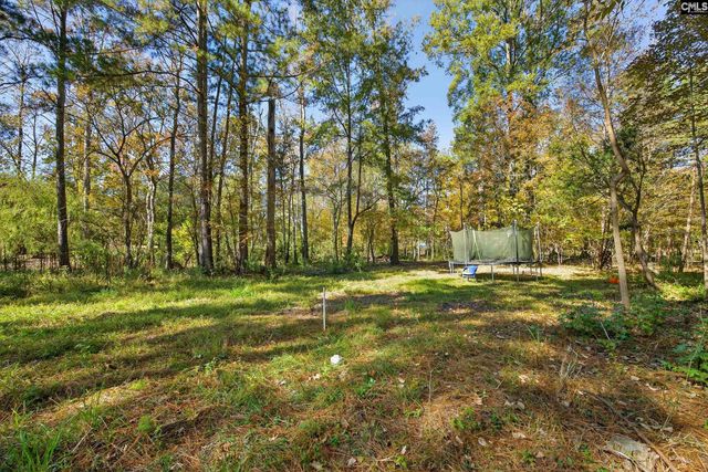 349 Bent Oak Drive, Chapin, SC 29036