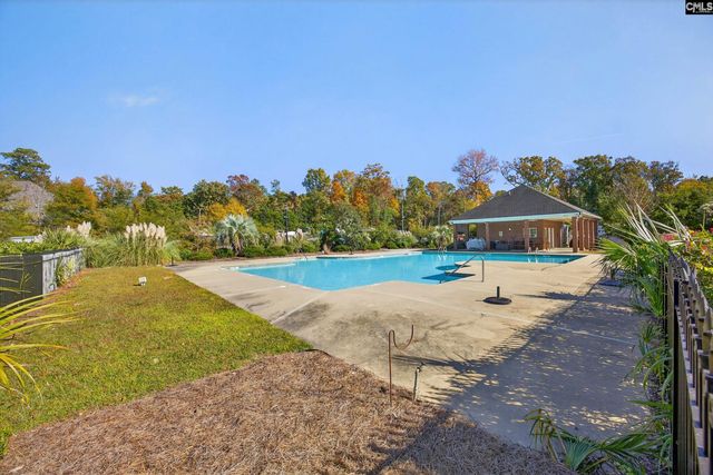 349 Bent Oak Drive, Chapin, SC 29036