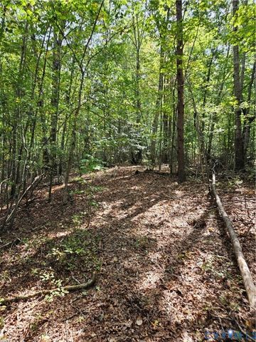 00 Off of Long Branch Rd, Woodford, VA 22580
