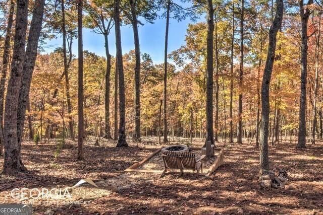187 Hayden Way Drive, Morganton, GA 30560