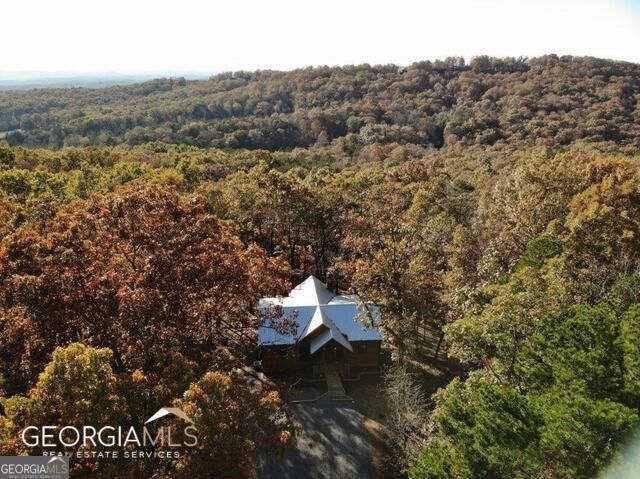 187 Hayden Way Drive, Morganton, GA 30560