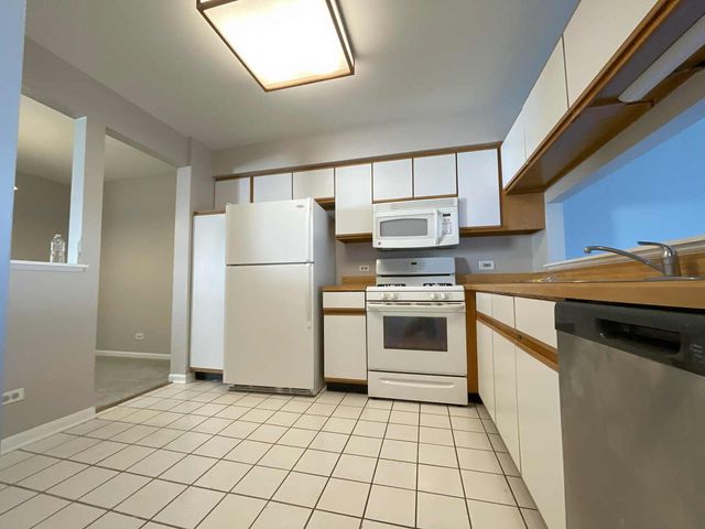 620 Cobblestone Court 620, Elgin, IL 60120