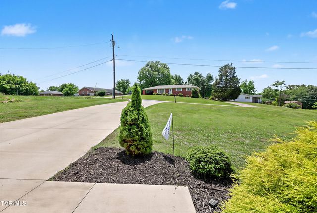 919 Martingale Drive, Greeneville, TN 37743
