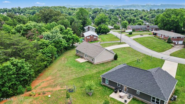 919 Martingale Drive, Greeneville, TN 37743