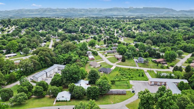 919 Martingale Drive, Greeneville, TN 37743