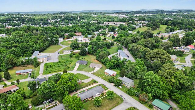 919 Martingale Drive, Greeneville, TN 37743