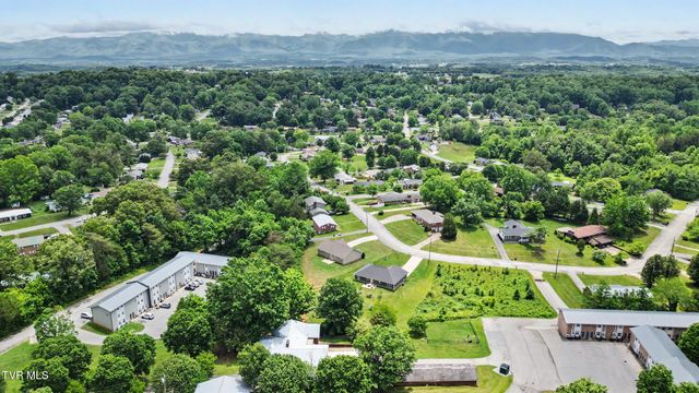 919 Martingale Drive, Greeneville, TN 37743