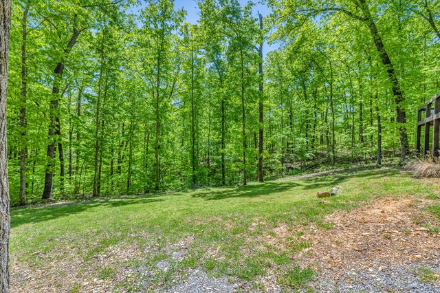 420 Holiday Haven Dr, Smithville, TN 37166