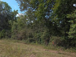 TBD Hidden Cove Drive, Point Blank, TX 77364