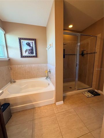 416 BAHAMA GRANDE BOULEVARD, Apollo Beach, FL 33572