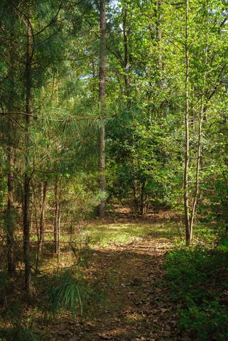 Lot 1,2, 5 Banks Mill Road Road SE, Aiken, SC 29803