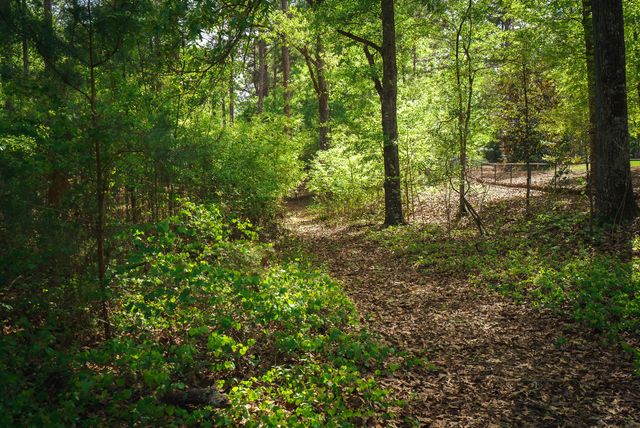 Lot 1,2, 5 Banks Mill Road Road SE, Aiken, SC 29803