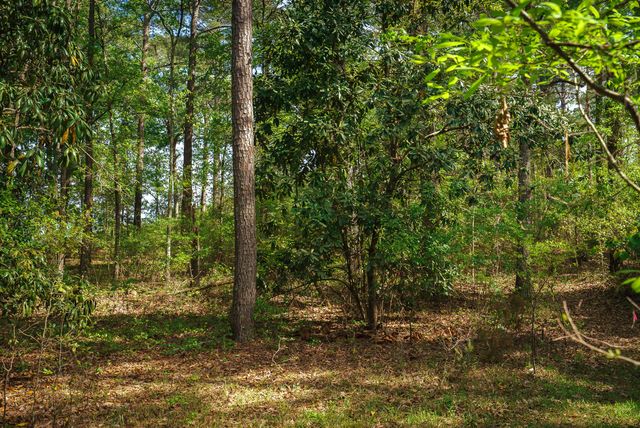 Lot 1,2, 5 Banks Mill Road Road SE, Aiken, SC 29803
