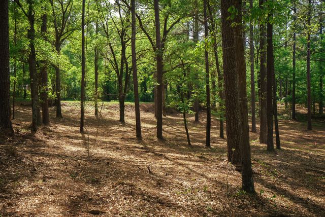 Lot 1,2, 5 Banks Mill Road Road SE, Aiken, SC 29803