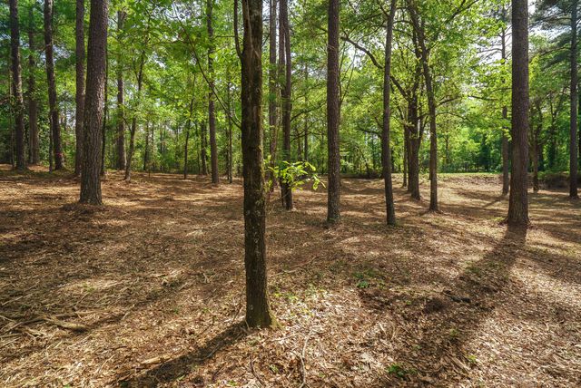 Lot 1,2, 5 Banks Mill Road Road SE, Aiken, SC 29803