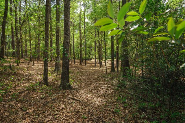 Lot 1,2, 5 Banks Mill Road Road SE, Aiken, SC 29803