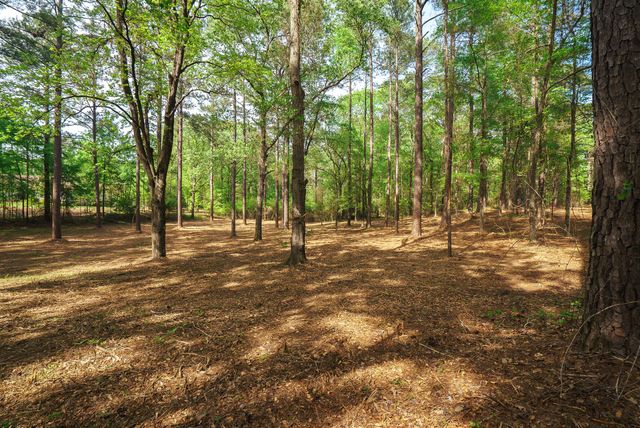 Lot 1,2, 5 Banks Mill Road Road SE, Aiken, SC 29803