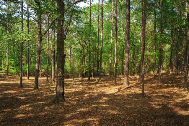Lot 1,2, 5 Banks Mill Road Road SE, Aiken, SC 29803