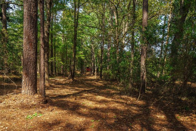 Lot 1,2, 5 Banks Mill Road Road SE, Aiken, SC 29803