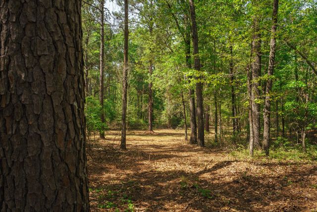 Lot 1,2, 5 Banks Mill Road Road SE, Aiken, SC 29803