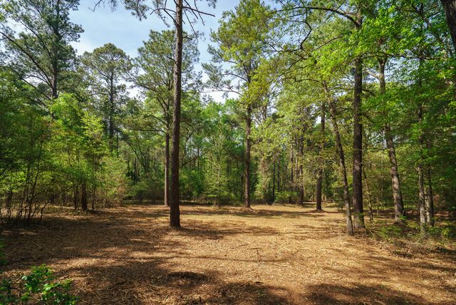 Lot 1,2, 5 Banks Mill Road Road SE, Aiken, SC 29803