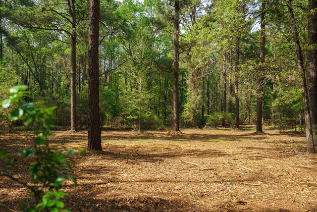 Lot 1,2, 5 Banks Mill Road Road SE, Aiken, SC 29803
