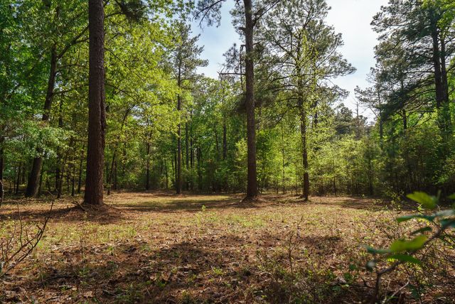 Lot 1,2, 5 Banks Mill Road Road SE, Aiken, SC 29803