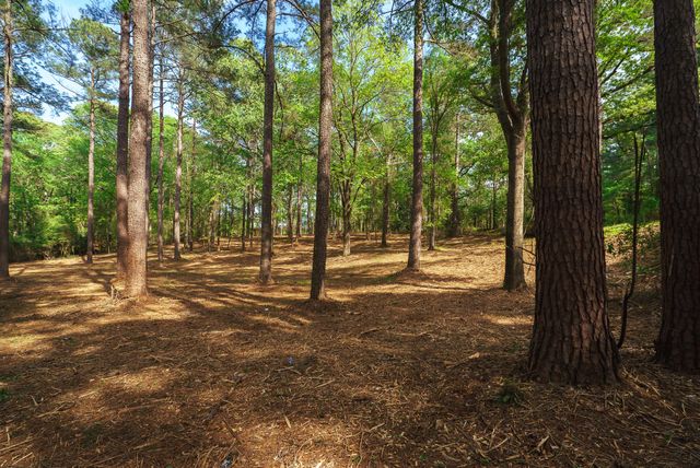 Lot 1,2, 5 Banks Mill Road Road SE, Aiken, SC 29803