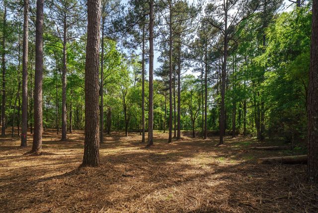 Lot 1,2, 5 Banks Mill Road Road SE, Aiken, SC 29803