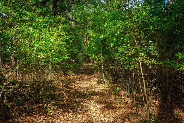 Lot 1,2, 5 Banks Mill Road Road SE, Aiken, SC 29803