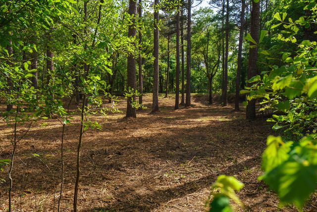 Lot 1,2, 5 Banks Mill Road Road SE, Aiken, SC 29803