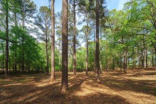 Lot 1,2, 5 Banks Mill Road Road SE, Aiken, SC 29803