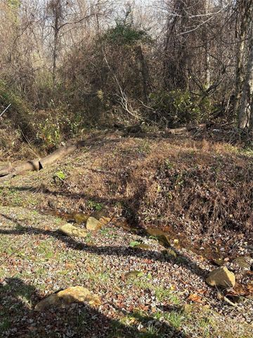 99999 Lytle Cove Road, Black Mountain, NC 28711