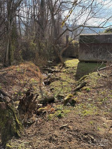99999 Lytle Cove Road, Black Mountain, NC 28711