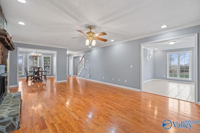 3592 Al Highway 35, Section, AL 35771