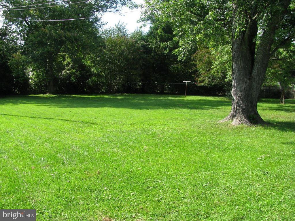 803 GRAFTON ST, Fredericksburg, VA 22405