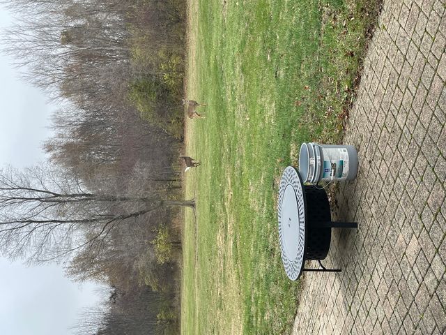 104 River Run Drive, St. Anne, IL 60964