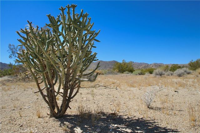 66400 29 Palms Highway, Joshua Tree, CA 92252