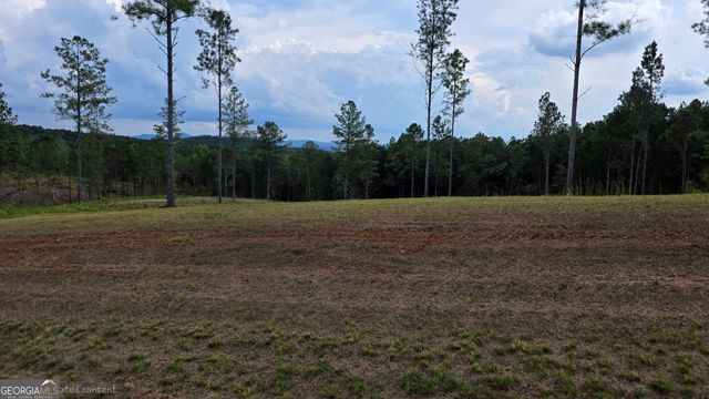 31 Springfield Parkway, Ellijay, GA 30540