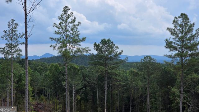 31 Springfield Parkway, Ellijay, GA 30540