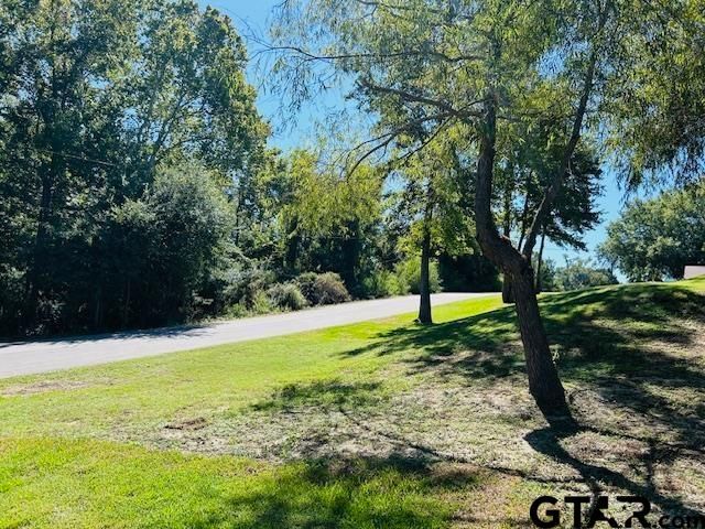 13650 Cheryl Dr, Tyler, TX 75709