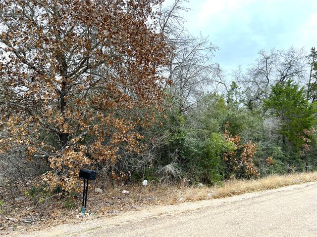 00 B J Mayes DR, Bastrop, TX 78602