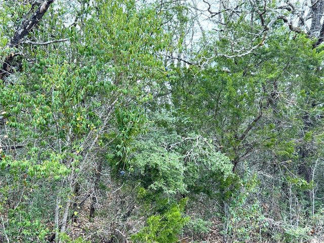 00 B J Mayes DR, Bastrop, TX 78602