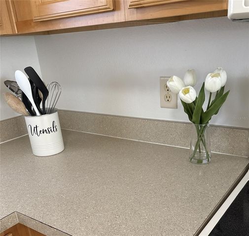 1240 PAGELAND WAY, The Villages, FL 32162