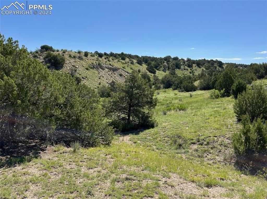 Railroad Springs Road, Pueblo, CO 81004 — photo 3