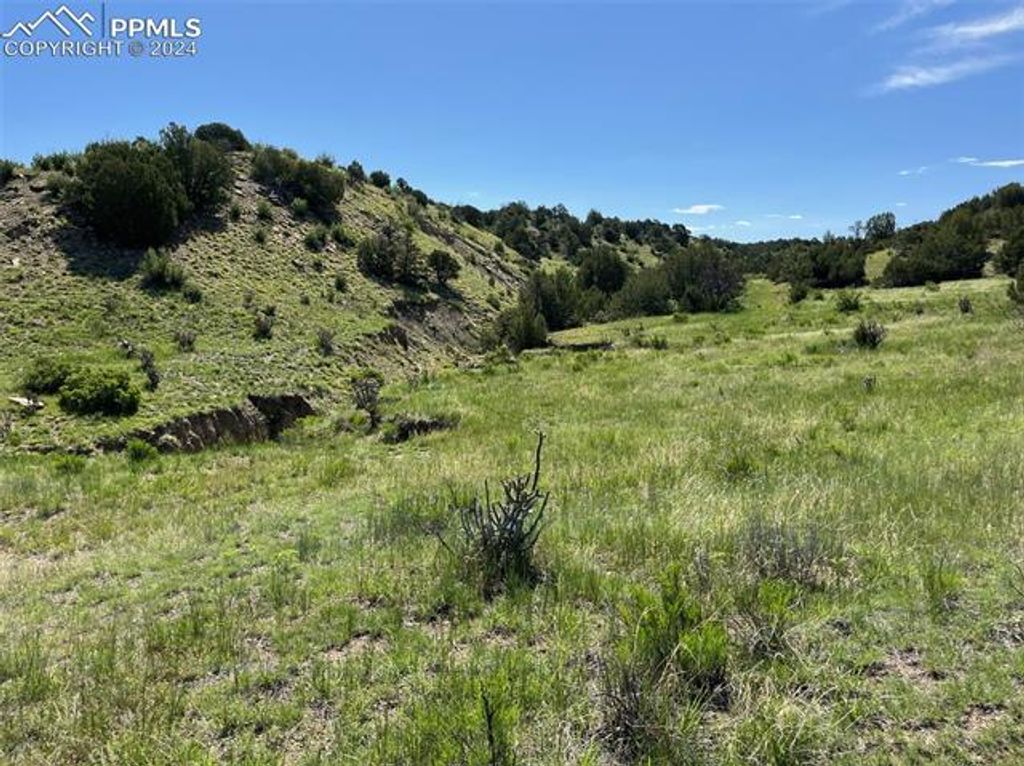 Railroad Springs Road, Pueblo, CO 81004 — photo 4