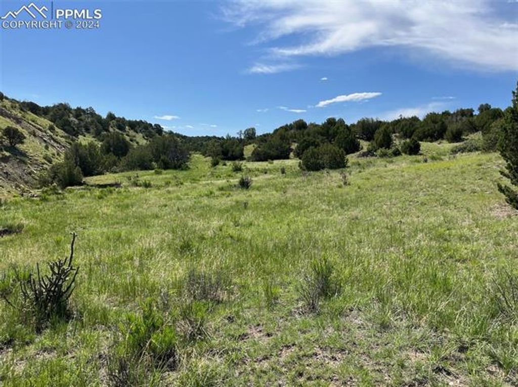 Railroad Springs Road, Pueblo, CO 81004 — photo 5