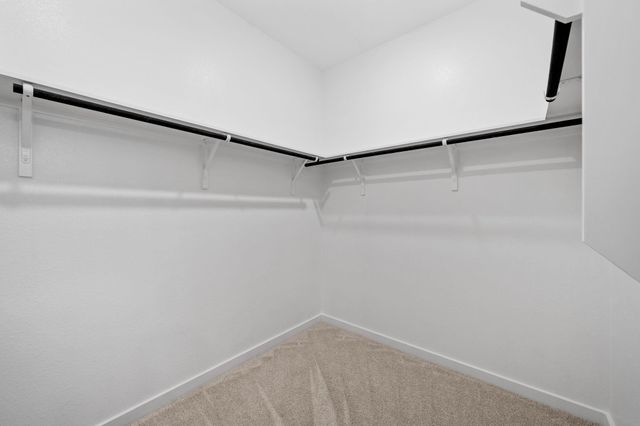 1923 Stargazer Lane, Angleton, TX 77515